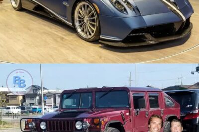 Which celebrity has the best car collection in Hollywood?