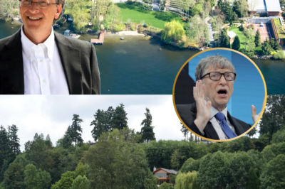 19 crazy facts about Bill Gates’ $127 million mansion