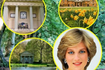 Inside Althorp Estate: The Untold Secrets of Princess Diana’s Childhood and Final Resting Place!