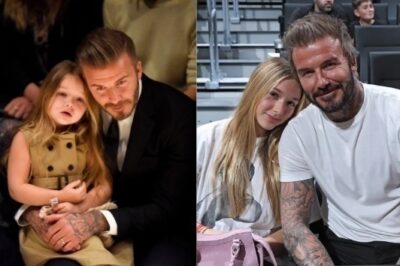 David Beckham recently announced “I will bring my daughter into showbiz and she will definitely become famous, something her 3 brothers…