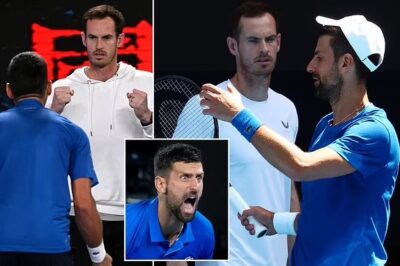 Andy Murray and Novak Djokovic ‘make a big decision about the future of their partnership’ as Serb targets Roger Federer’s Wimbledon record