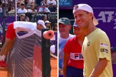 Diego Schwartzman sends opponent flying over the net as retirement delayed