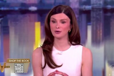 Dylan Mulvaney reflects on the Bud Light backlash almost 2 years later on ‘The View’