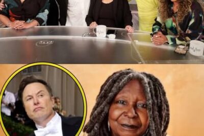 Elon Musk called for a boycott of The View, calling it “a meeting place for ignorant women.” Immediately after, the entire cast responded fiercely