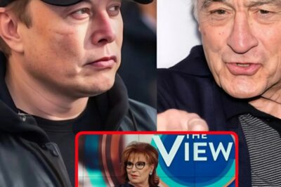Robert De Niro Blasts Elon Musk on Live TV—Fiercely Defends Joy Behar: ‘He Doesn’t Deserve Your Trust!