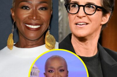 Rachel Maddow staff to be let go as part of MSNBC overhaul