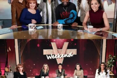 ‘The View’ Hosts In Hot Water After ABC Gives Them This Warning