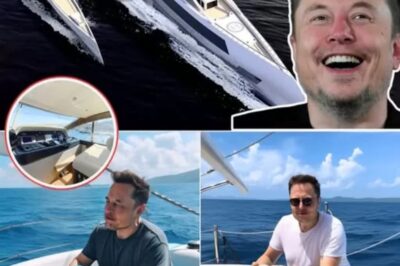 The Most Luxurious Amenities Can Be Found On Elon Musk’s Tesla Superyacht, Estimated To Be Worth Up To $91 Million, With Surprising Details That Astonish Many People