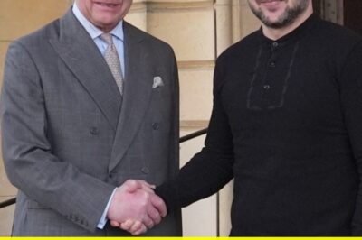 “Zelenskyy’s Controversial Outfit Choice for Royal Meeting: The Surprising Reason Behind His Bold Fashion Statement!”