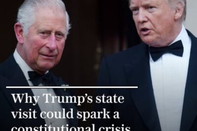 Why Trump’s state visit could spark a constitutional crisis