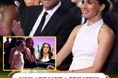 YOU ARE NOT A PRINCESS – The shocking quote that left Meghan Markle flustered at the ESPYs.