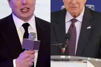 NFL Shock: Elon Musk Reportedly In Talks To Buy Buffalo Bills For $10.5 Billion – Terry Pegula Considers Franchise, Shocking The Football World