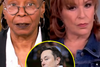 ABC declined to renew Whoopi Goldberg and Joy Behar’s contracts on The View, aiming to eliminate “toxic” elements related to Elon Musk, the two powerful women also reacted strongly…