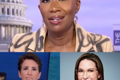 Something suspicious happened to MSNBC as stars fled and millions of fans turned away, but the desperate move to save the day confirmed all suspicions.