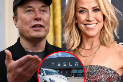 Country Star Sheryl Crow Sells Tesla to Protest Elon Musk, Donates Proceeds to NPR ‘I Bought This Before I Knew He Was Cr@zy’”