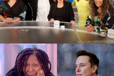 The Entire Cast Reacts After Elon Musk Calls for Boycott of The View, Calls It a “Meeting Place for Ignorant Women”