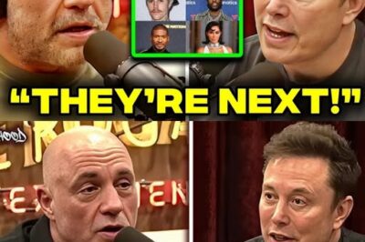 Elon Musk & Joe Rogan EXPOSE The Celebrities That FLED The Country After Diddy’s Lawyer Quit