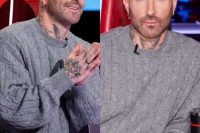 A Voice Chair Glitch Made Adam Levine Say, “What the Hell Was That?”