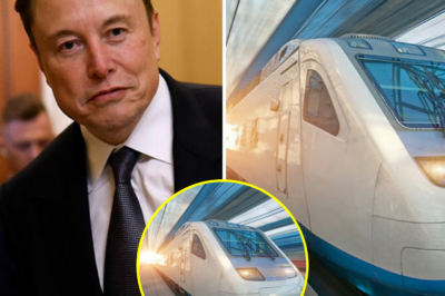 BREAKING NEWS: Elon Musk Announces $30 Billion Investment to Build a Super Tunnel, Shortening Travel Time from New York to London to Only 118 Minutes!