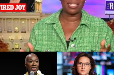 Fans Are Losing Their Minds and Spreading Strange Rumors After MSNBC boss Rebecca Kutler is struggling to contact Joy Reid after brutally firing her