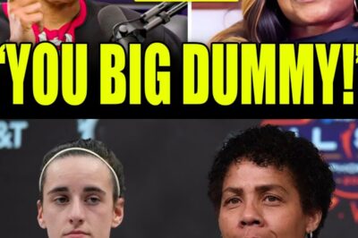 Cheryl Miller DESTROYS Sheryl Swoopes In NEW INTERVIEW, Defends Caitlin Clark!