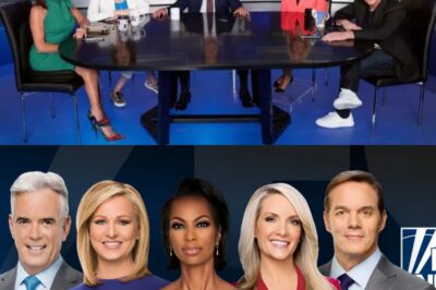 Fox News has once again dominated the ratings, leaving competitors M/S/N/B/C and C/N/N in their wake. In reality, 2022 was the third-highest-rated year in cable news history!’