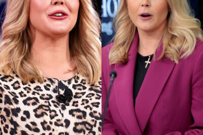 CONTROVERSY EXPLOSION: Karoline Leavitt exposes the “SHOCKING TRUTH” behind a series of fake news stories from the media—The response that sent the press WORLD TURN!