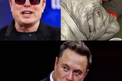 A Tesla Employee is Caught Sleeping at Work—Elon Musk’s Response Shocks the Entire Office!