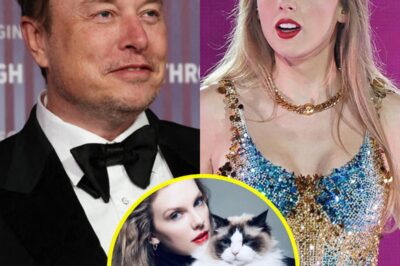 Elon Musk Shocks Internet With Outrageous Offer to Taylor Swift: “I’ll Give You a Baby and Protect Your Cat”