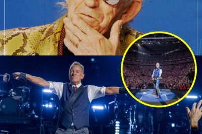Rock World Erupts: Keith Richards Takes Aim at Bruce Springsteen—“If There Was More Talent, He’d Still Be in Jersey.”