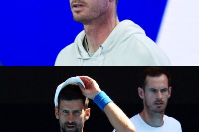 Andy Murray lands new job in retirement alongside Novak Djokovic duties