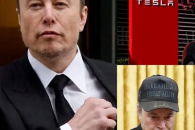 OFFICIAL Elon Musk Steps Down As Tesla CEO After Financial Flaws Expose, And His Successor Will Surprise You..