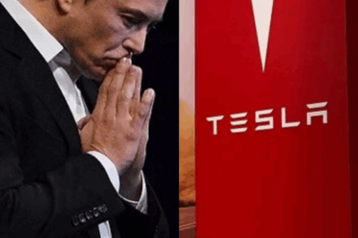 Farewell to Tesla’s golden era – Elon Musk admits he has run out of options as the company faces imminent collapse