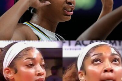 New Video Footage Surfaces With “Monkey” Noises Coming From The Crowd In Indiana During Angel Reese’s Free Throws After WNBA Announces Investigation Following Caitlin Clark Incident
