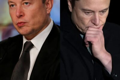 SH*CKING: Elon Musk Faces a Dire Crisis as Tesla Bleeds $800 Billion and X Drops $44 Billion—Legal Storms Brewing That Could Change Everything for the Tech Giant’s Future!