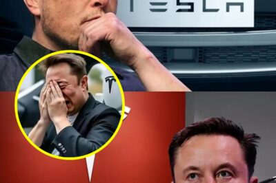 “BREAKING NEWS: Elon Musk’s DEVASTATING announcement leaves SpaceX employees in tears! ‘I beg you…’ 😱🚀💔Fans form emergency prayer circles as he reveals the UNTHINKABLE… Is this the END? You WON’T BELIEVE what he’s hiding…