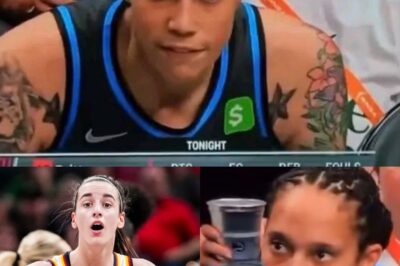 Brittney Griner Faces Backlash Over Alleged On-Court Remarks Directed at Caitlin Clark