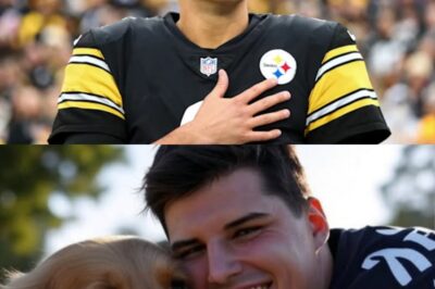 Mason Rudolph has taken social media by storm with a shocking announcement: he’s investing $20 million to build a “paradise” dedicated to rescuing stray dogs, promising love and homes to thousands of abandoned puppies.