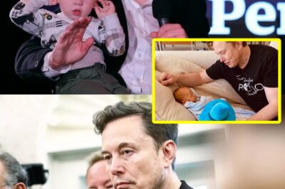 Report: Elon Musk Allegedly Said He Fathered a Child with a Japanese Pop Star, Would Give His Sperm to Anyone to Have a Baby