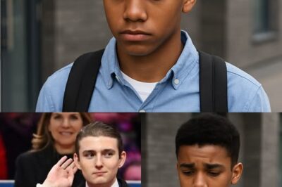 Boy Is Fired For Helping Barron Trump, Next Day He gets News That Changed His Life
