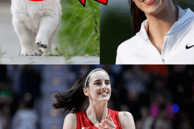 Stray Puppy Won’t Stop Following Caitlin Clark—Basketball Superstar’s Unexpected Decision Leaves Fans in Tears as Heartwarming Twist Unfolds in Emotional Courtside Encounter That Changes Both Their Lives Forever