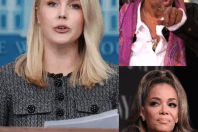 Karoline Leavitt Drops Bombshell Lawsuit: ‘The View’ Hosts Erupt On-Air, Accusations Fly, Security Called as Live Show Descends Into Chaos—Insiders Claim This Could Be the End for Daytime TV’s Most Controversial Panel!