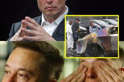 Breaking News: Elon Musk says he’s shocked at the level of Tesla hate and vandalism happening: ‘I’ve never done anything harmful’