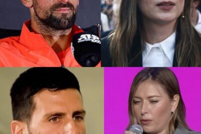 Novak Djokovic set to work with Maria Sharapova as tennis legends join forces