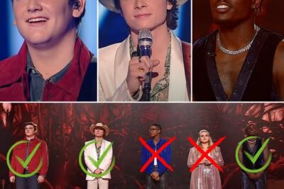American Idol 2025: The 3 Finalists Are Revealed After Emotional Disney Night, Fans React!