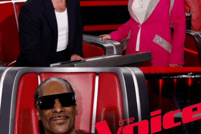 ‘The Voice’: Niall Horan, Reba McEntire & Michael Bublé Join Snoop Dogg As Season 28 Coaches; NBC Show Faces Scheduling Swivel