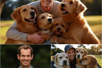 EXCLUSIVE: Rafael Nadal shocks the internet with a bombshell announcement: he will invest 15 million pounds to build a “RESCUE STATION” dedicated to rescuing stray dogs and those abandoned by their owners, promising love and a home to thousands of neglected puppies.