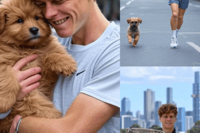 Jannik Sinner’s Life Takes an Unexpected Turn After a Stray Puppy Follows Him Home—What Happened the Next Day Will Break Your Heart and Restore Your Faith in Humanity! Find Out How This Emotional Encounter Changed Everything for the Tennis Star and the Loyal Pup Waiting for Him.