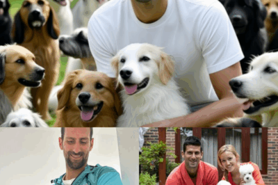 Novak Djokovic Stuns the World: Tennis Legend and Wife Pledge $20 Million to Build Massive ‘Rescue Station’ for Abandoned Dogs—Is This the Boldest Celebrity Animal Welfare Move Ever?