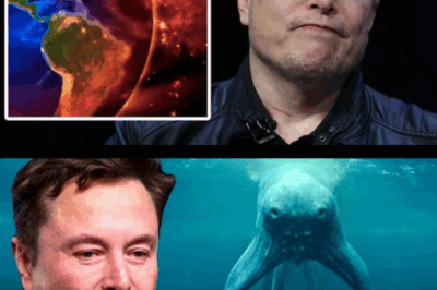 Elon Musk Shocks World With Bold Claim: Earth’s Oceans Are Part of an Alien-Created Cosmic Simulation—Billionaire’s Latest Theory Ignites Global Debate, Sparks Questions About Reality and Our Place in the Universe